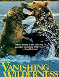 Пропавшая дикая местность