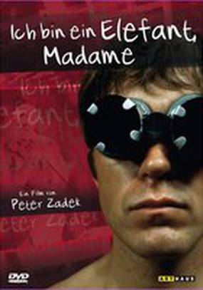 Я слон, мадам