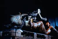 Кадр Немезида