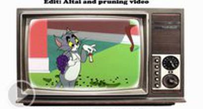 Мультфильм