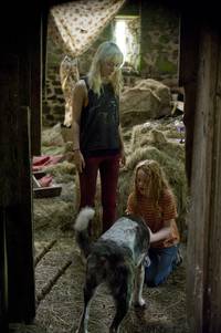 Кадр Как я теперь люблю