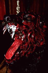 Кадр Ротвейлер