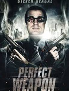 Совершенное оружие