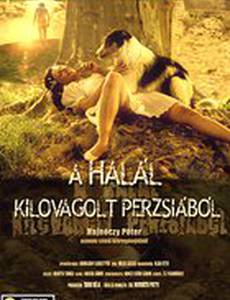 Смертельные трудности в Персии