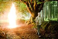 Кадр Дикость