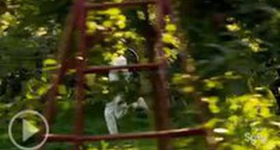 Трейлер (сезон 2)