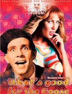 What's Good for the Goose