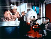 Кадр Лохматый прокурор