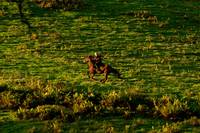 Кадр Вдали от безумной толпы