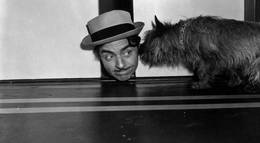 Кадр из фильма "Приятное сумасшествие" - 2