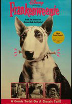 Франкенвини