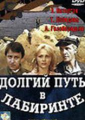 Долгий путь в лабиринте (мини-сериал)