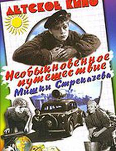 Необыкновенное путешествие Мишки Стрекачева