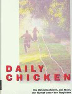Daily Chicken