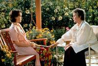 Кадр Лоскутное одеяло