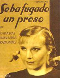 Узник сбежал