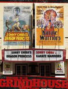 Воины карате