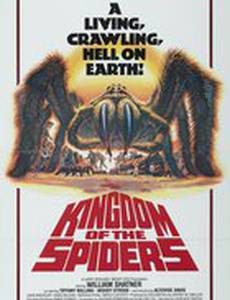 Царство пауков