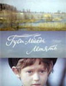 Гуси-лебеди летят