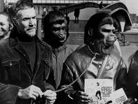 Кадр Завоевание планеты обезьян