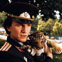 Кадр Горилла купается в полдень