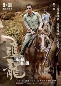 Постер В погоне за драконами