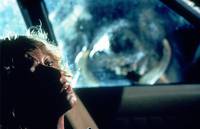 Кадр Кабан-секач