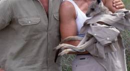 Кадр из фильма "Охотник на крокодилов: Схватка" - 2