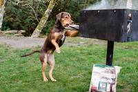 Кадр Путь домой