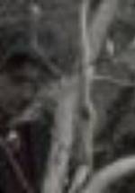 Конор О’Горман фото