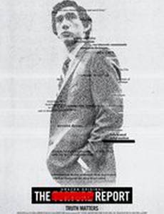 Отчёт о пытках