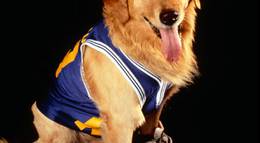 Кадр из фильма "Король воздуха" - 2