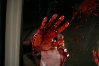 Кадр Теория убийств