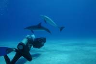 Кадр Большое путешествие вглубь океанов 3D