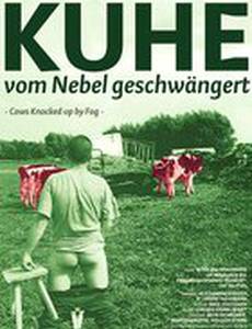 Коровы, забеременевшие от тумана