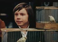 Кадр Весь мир в глазах твоих