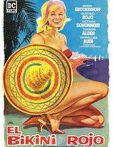 Komm mit zur blauen Adria