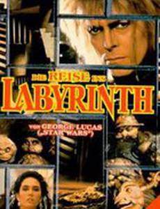 Inside the Labyrinth