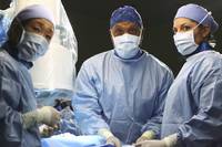 Кадр Анатомия страсти