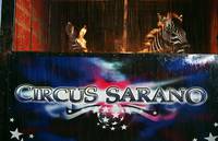 Кадр Бешеные скачки