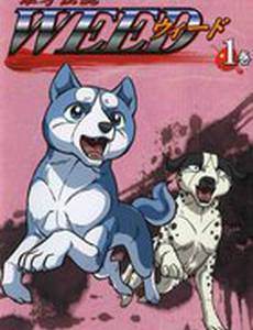 Легенда о Серебряном Клыке Уиде