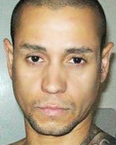 Джей Дэвидсон фото