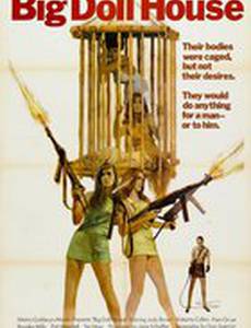 Дом большой куклы