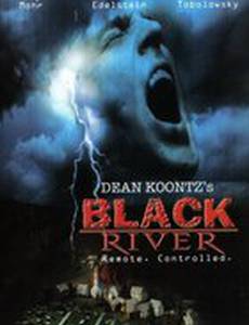 Черная река