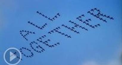 Мультфильм 