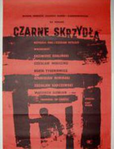 Черные крылья