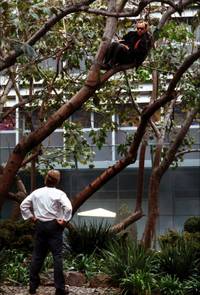 Кадр Планета Ка-Пэкс