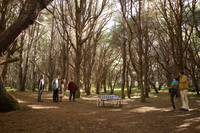 Кадр Всемогущие Джонсоны