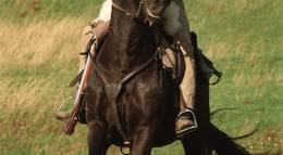 Кадр из фильма "Полк Шарпа" - 1