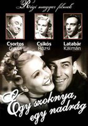 Одна юбка, одни брюки